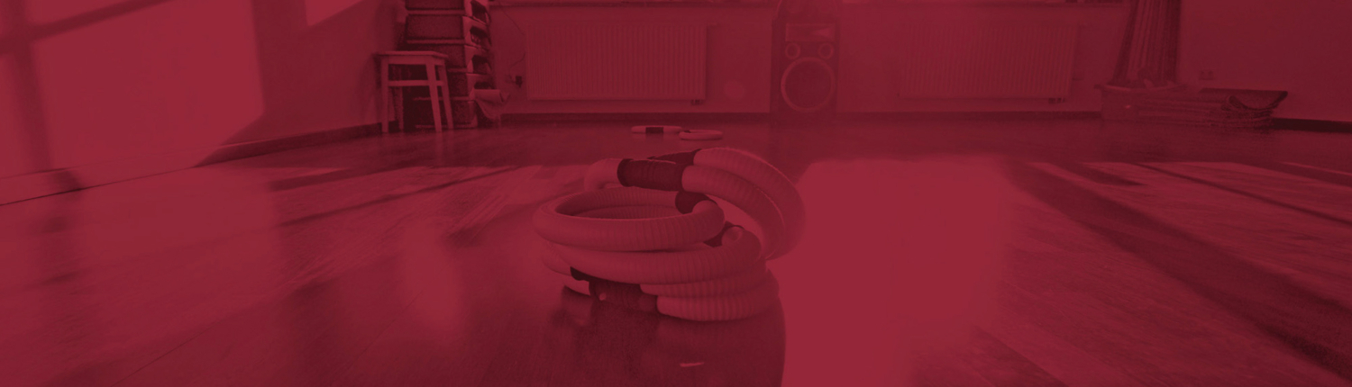 Renate_Banner 200x800px.indd